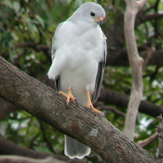Mount Martin National Park