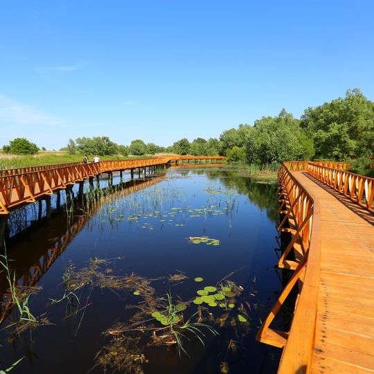 Parque natural Kopački Rit
