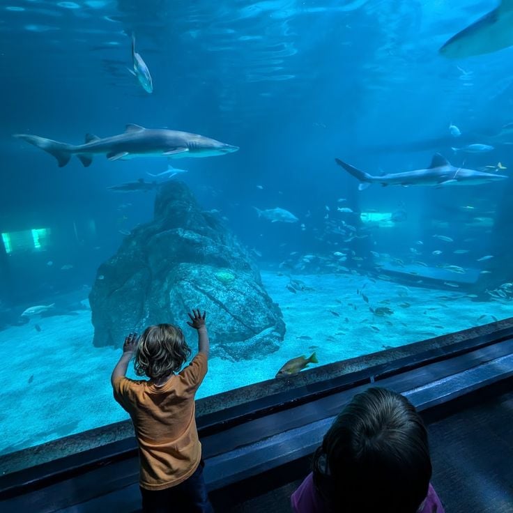 Philadelphia Aquarium