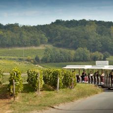 Tourist train to vineyards
