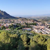 Cabra del Santo Cristo