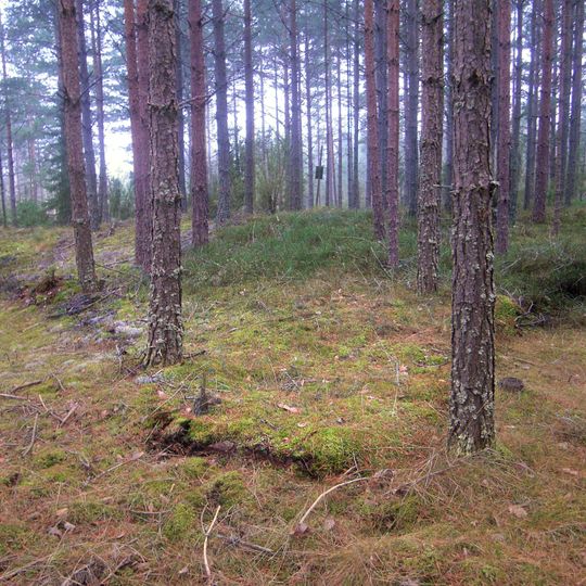 Västerfärnebo 17:1