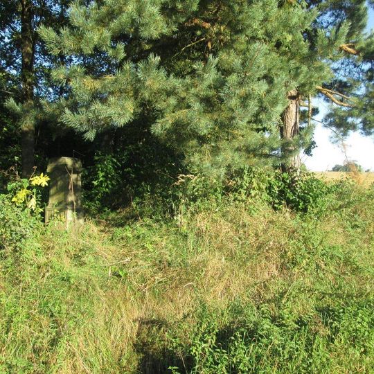 Kříž v křoví nad Křížovem