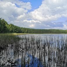 Rezerwat przyrody Jezioro Bardze Małe
