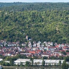 Weinberg- und Obsthänge rings um die Wangener Höhe