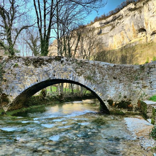 Vieux pont sur la Seille