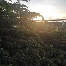 Zahara Urban Farm