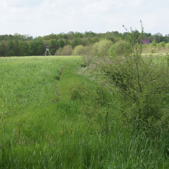 Eichen-Hainbuchenwald am Hövingsfeld