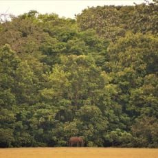 Loango National Park
