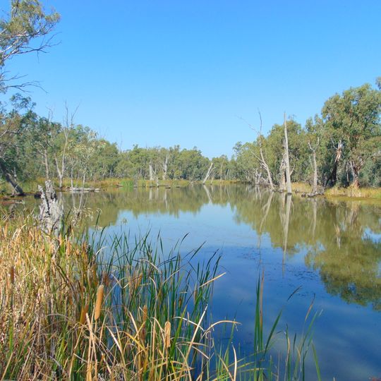 Gunbower National Park