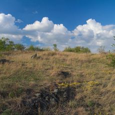 Fládnitzské vřesoviště