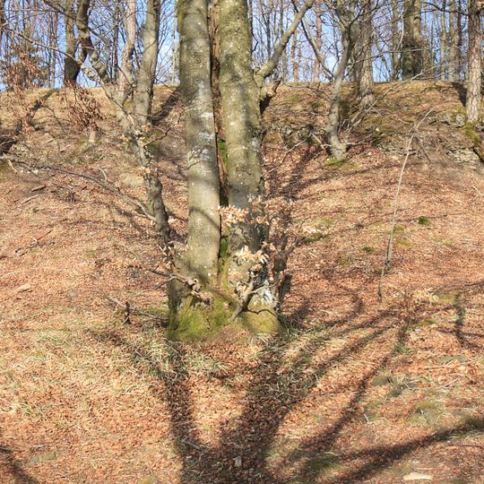 Burgstall Altes Haus