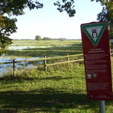 Fischerhuder Wümmeniederung
