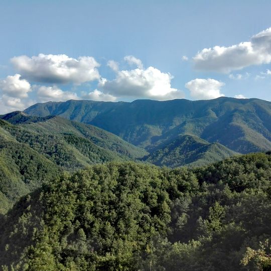 Naturschutzgebiet Sasso Fratino