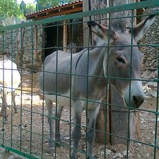 Split Science museum