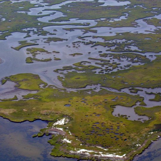 Plum Tree Island National Wildlife Refuge