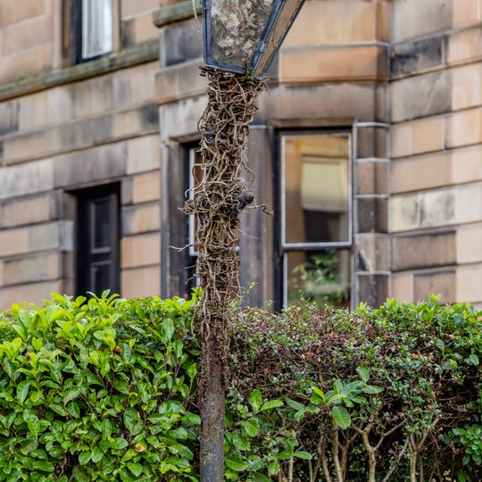 35 Marywood Square, Lamp Standard