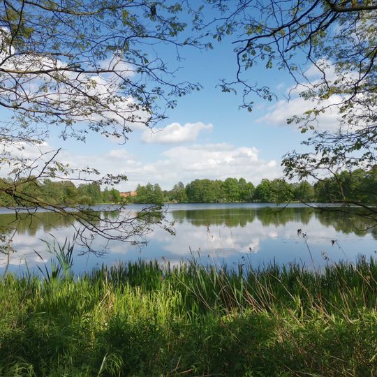 Teichgruppen Cosel-Zeisholz