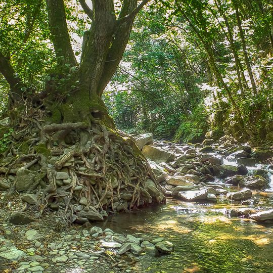 Riserva naturale Acquerino Cantagallo