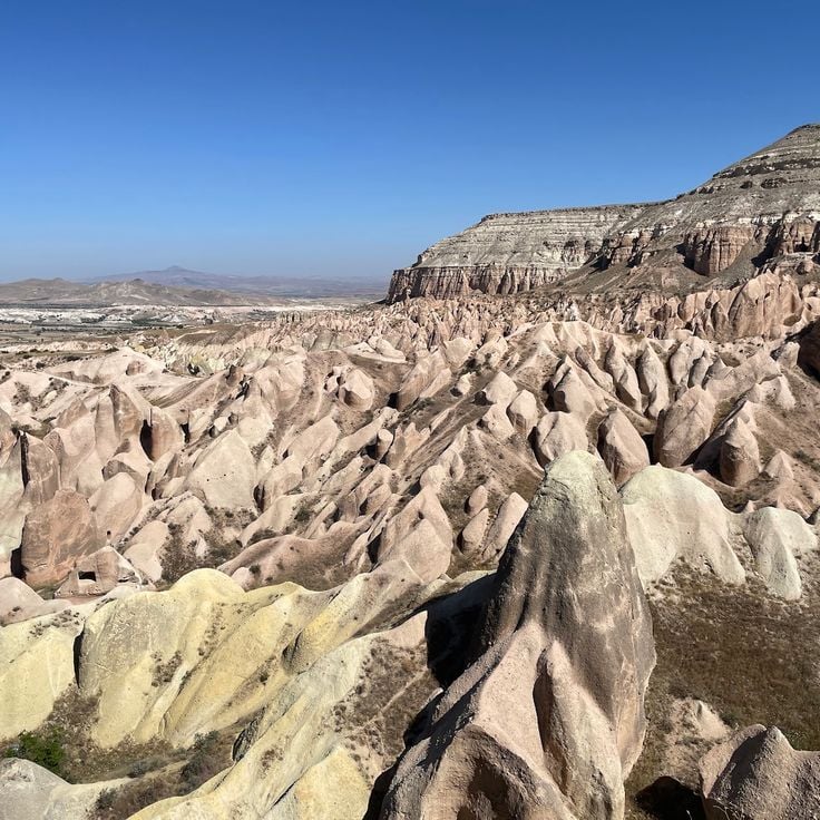 Rose Valley