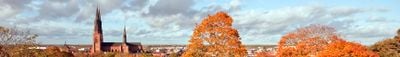 Panoramavy 6