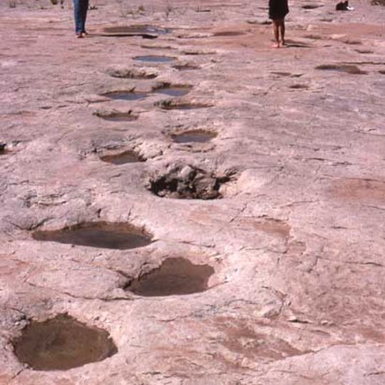 Purgatoire River track site