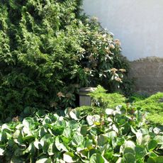 Kříž v Horních Polžicích