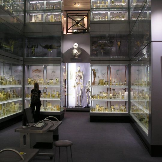 Hunterian Museum