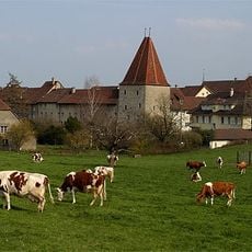 Village fortification