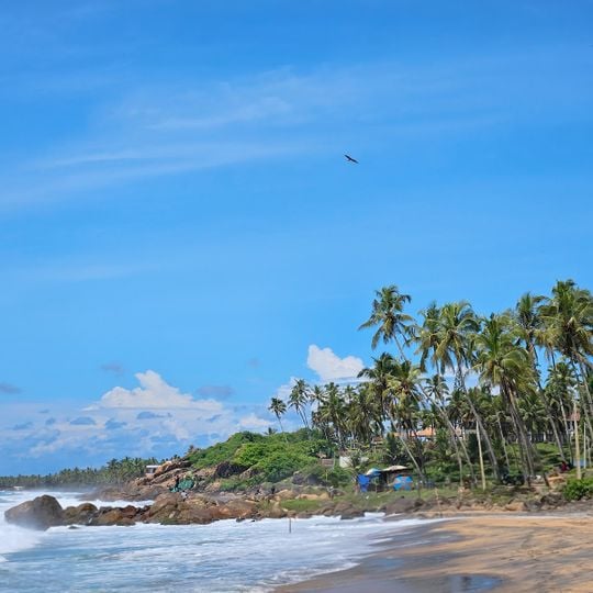 കോവളം ബീച്ച്