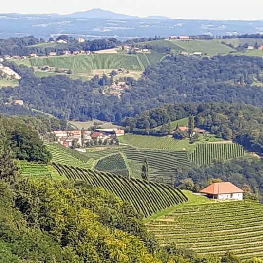 1. Steirisches Weinmuseum Kitzeck
