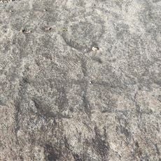 Gravuras abertas numa laje situada em face de Taião a Sudoeste do Monte de Fortes