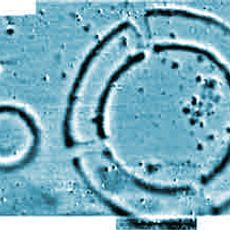 Kreisgrabenanlage Kleinrötz