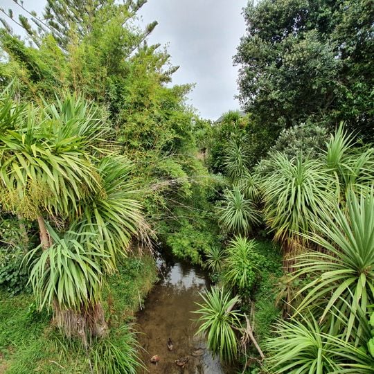 Waikumete Stream