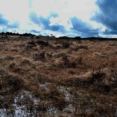 Réserve naturelle régionale des landes et tourbières du Cragou et du Vergam