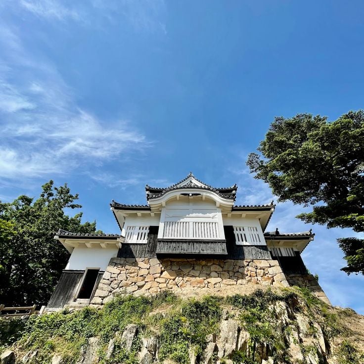 Bitchū Matsuyama Castle
