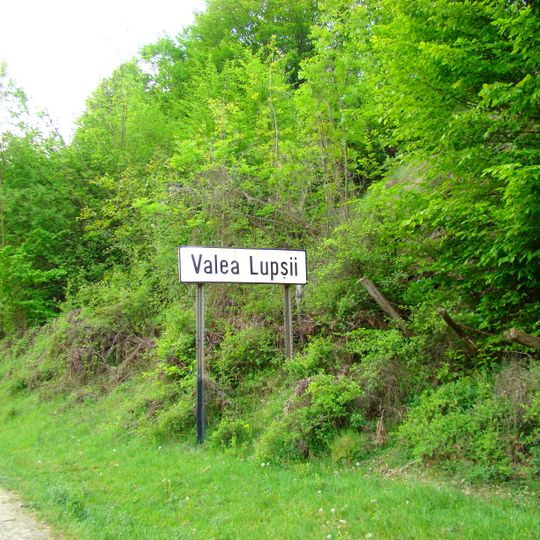 Valea Lupșii