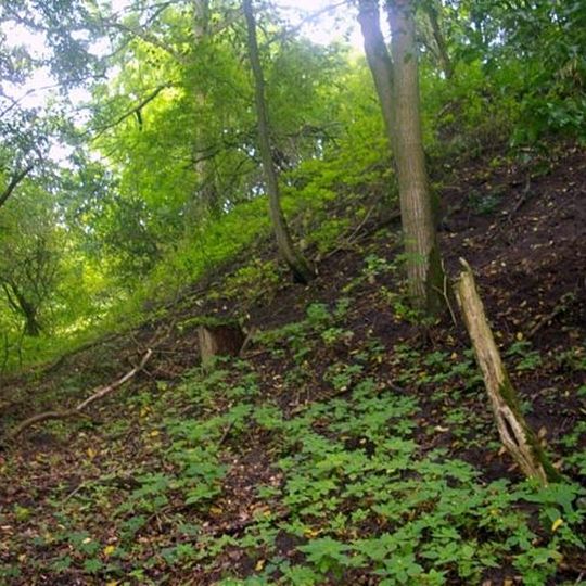 Burgwall Hohenbüssow