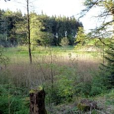 Orbachtal mit Streuwiesen