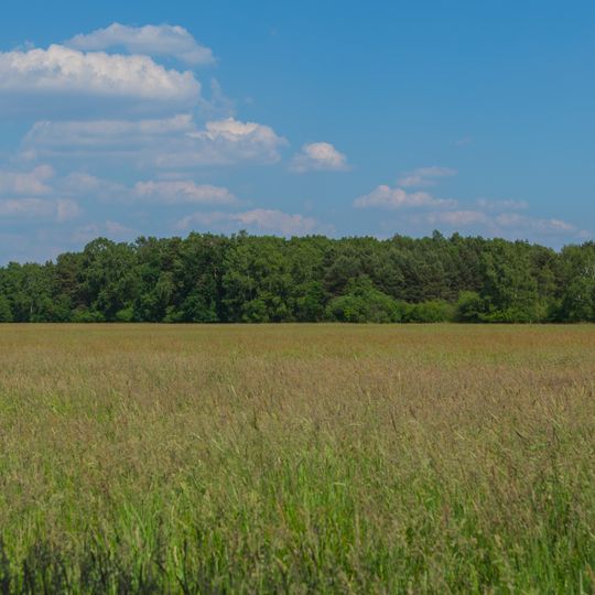 NSG Haler Feld-Vogelpohl