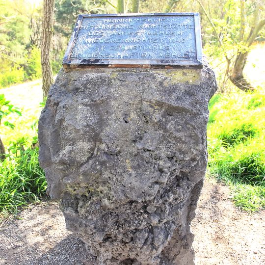 Heinrichsblick, Rodderberg