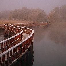 Parco nazionale delle Tablas de Daimiel