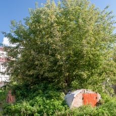 Погреб-ледник (Тверь)