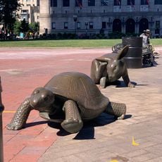 The Tortoise and the Hare