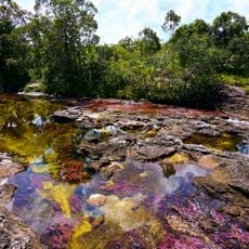 Caño Cristales