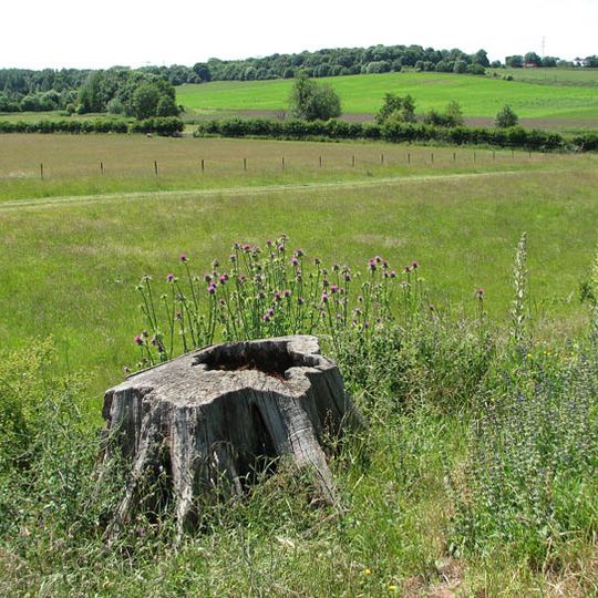 Venta Icenorum: Roman town and associated prehistoric and medieval remains