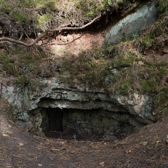 Dambja iezis un Bruņa ala