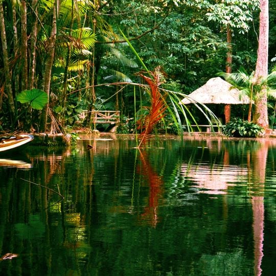 Bosque Rodrigues Alves