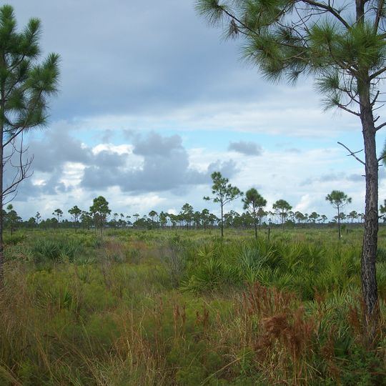 Savannas Preserve State Park