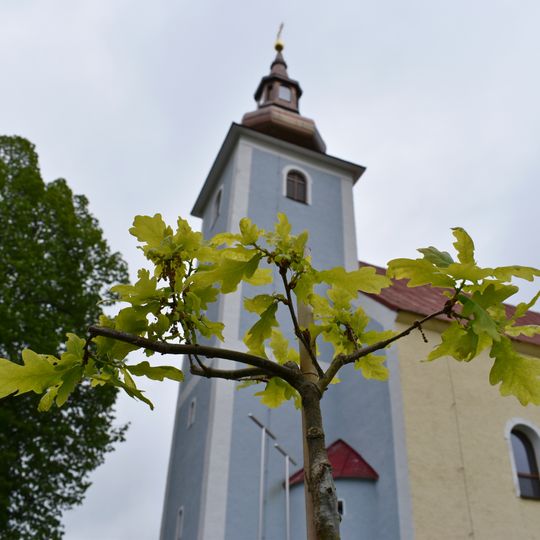 COVID-19 Tree of Peace